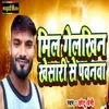 About Mil Gelkhin Khesari Se Pawanwa Song